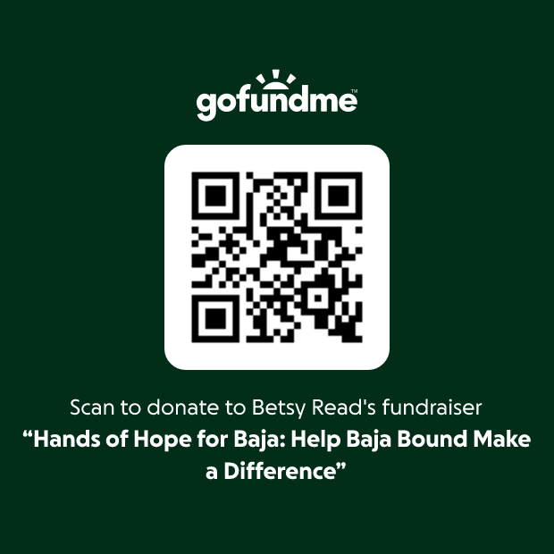 QR code to donate
